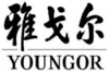 雅戈尔